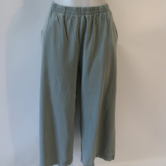 Women Z Supply Sage Green Flat Front Pull-On Wide Leg Cropped Pants M - Picture 2 of 9